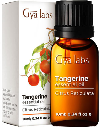 Picture of Gya Labs Tangerine Oils - 0.34 fl oz