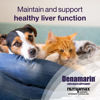 Picture of Nutramax Denamarin Liver Health Supplement for Small Dogs and Cats - With S-Adenosylmethionine (SAMe) and Silybin, 30 Tablets