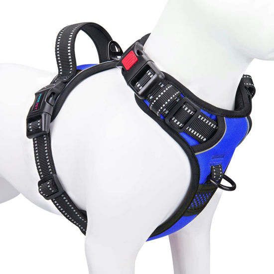 Picture of PHOEPET No Pull Dog Harness Medium Reflective Front Clip Vest with Handle,Adjustable 2 Metal Rings 3 Buckles,[Easy to Put on & Take Off](XL, Royal Blue)