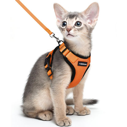 Picture of rabbitgoo Cat Harness and Leash for Walking, Escape Proof Soft Adjustable Vest Harnesses for Cats, Easy Control Breathable Reflective Strips Jacket, Orange, M