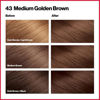 Picture of Revlon ColorSilk Hair Color [43] Medium Golden Brown 1 ea (Pack of 8)