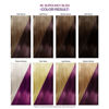 Picture of Adore Semi Permanent Hair Color - Vegan and Cruelty-Free Hair Dye - 4 Fl Oz - 085 Burgundy Bliss (Pack of 1)