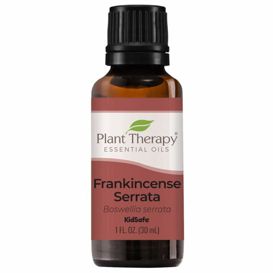 Picture of Plant Therapy Frankincense Serrata Essential Oil 100% Pure, Undiluted, Natural Aromatherapy, Therapeutic Grade 30 mL (1 oz)