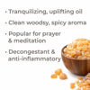 Picture of Plant Therapy Frankincense Serrata Essential Oil 100% Pure, Undiluted, Natural Aromatherapy, Therapeutic Grade 30 mL (1 oz)