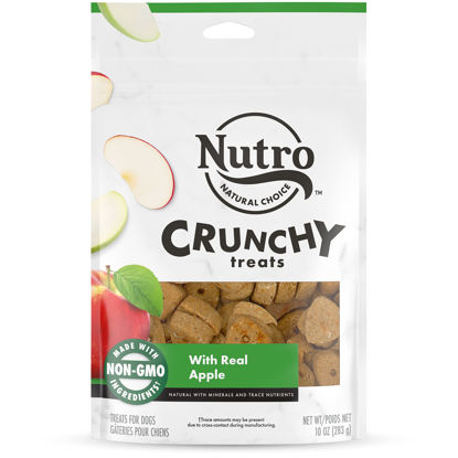 Picture of NUTRO Crunchy Dog Treats with Real Apple, 16 oz. Bag