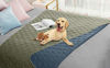 Picture of Ameritex Waterproof Dog Bed Cover Pet Blanket for Furniture Bed Couch Sofa Reversible