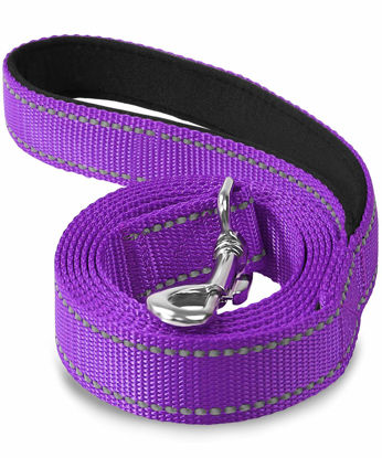 Picture of Joytale Double-Sided Reflective Dog Leash, 6 FT/5 FT/4 FT, Padded Handle Nylon Dogs Leashes for Medium & Large Dogs Walking, Purple, 6FT