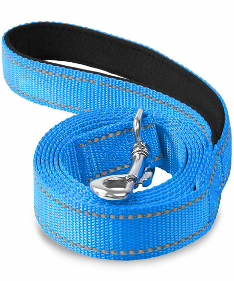 Picture of Joytale Double-Sided Reflective Dog Leash, 6 FT/5 FT/4 FT, Padded Handle Nylon Dogs Leashes for Medium & Large Dogs Walking, Sky Blue, 6FT