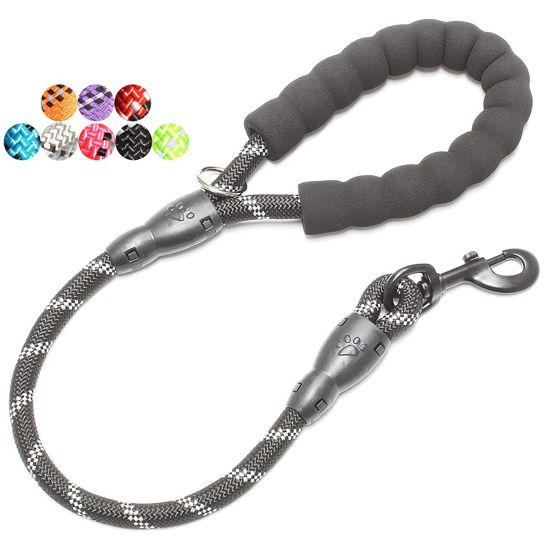 2 ft dog leash sale