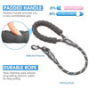 Picture of BAAPET 2/4/5/6 FT Dog Leash with Comfortable Padded Handle and Highly Reflective Threads for Small Medium and Large Dogs (2FT-1/2'', Black)