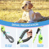 Picture of BAAPET 2/4/5/6 FT Dog Leash with Comfortable Padded Handle and Highly Reflective Threads for Small Medium and Large Dogs (4FT-1/2'', Green)