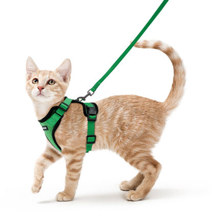 Picture of rabbitgoo Cat Harness and Leash for Walking, Escape Proof Soft Adjustable Vest Harnesses for Cats, Easy Control Breathable Reflective Strips Jacket, Grass Green, XS