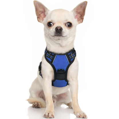 Picture of rabbitgoo Dog Harness, No-Pull Pet Harness with 2 Leash Clips, Adjustable Soft Padded Dog Vest, Reflective No-Choke Pet Oxford Vest with Easy Control Handle for Small Dogs, Blue,XS