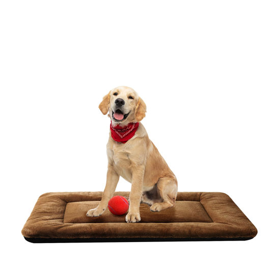 Metal dog beds shop for small dogs