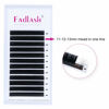 Picture of FADLASH Volume Lash Extensions Multi Length Easy Fan Lashes .03 .05 .07 Automatic Blooming Eyelash Extensions C D DD L Curl (0.07-D, Camellia 11-12-13mm)