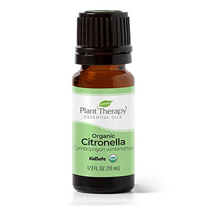 Picture of Plant Therapy Citronella Organic Essential Oil 100% Pure, USDA Certified Organic, Undiluted, Natural Aromatherapy, Therapeutic Grade 10 mL (1/3 oz)