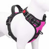 Picture of PHOEPET Reflective Dog Harness Large Breed Adjustable No Pull Vest with with Handle 2 Metal Rings 3 Buckles [Easy to Put on & Take Off](L, Pink)