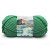 Picture of Lion Brand Yarn Hometown Yarn, Bulky Yarn, Yarn for Knitting and Crocheting, 3-Pack, Green Bay