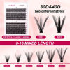 Picture of FADLASH DIY Eyelash Extension Kit, 240Pcs Lash Clusters with Lash Bond and Seal, Clusters Eyelash Applicator Tool, D Curl Thin Band DIY Lash Extension Kit Easy to Apply (30D+40D Kit)