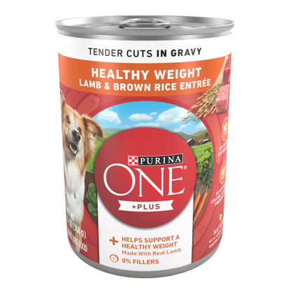 Picture of Purina ONE Plus Tender Cuts in Gravy Healthy Weight Lamb and Brown Rice Entree in Wet Dog Food Gravy - (12) 13 oz. Cans