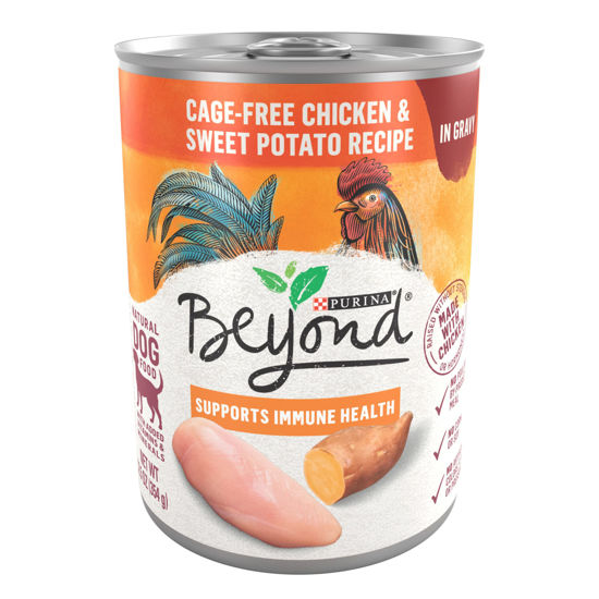 Picture of Beyond Purina Beyond Chicken and Sweet Potato in Gravy Grain Free Wet Dog Food - (12) 12.5 oz. Cans