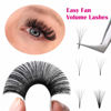 Picture of Mega Volume Lash Extensions 0.03-0.10mm C D CC DD L Curl 8-30mm Length Easy Fan Volume Lashes Self Fanning Eyelash Extensions 2D-20D (0.03-CC, 11-19mm Mix)