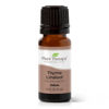 Picture of Plant Therapy Thyme Linalool Essential Oil 10 mL (1/3 oz) 100% Pure, Undiluted, Therapeutic Grade