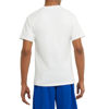 Picture of Champion mens Classic Jersey Tee Shirt, White, 4X-Large US