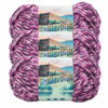 Picture of Lion Brand Yarn Hometown Yarn, Bulky Yarn, Yarn for Knitting and Crocheting, 3-Pack, Elmore City Dance