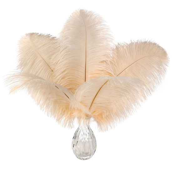  Feathers For Vase