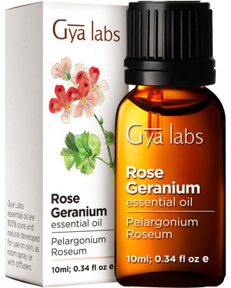 Picture of Gya Labs Rose Geranium Essential Oil for Skin - Natural Geranium Oil for Diffuser - Rose Geranium Essential Oil Organic for Aromatherapy (0.34 fl oz)