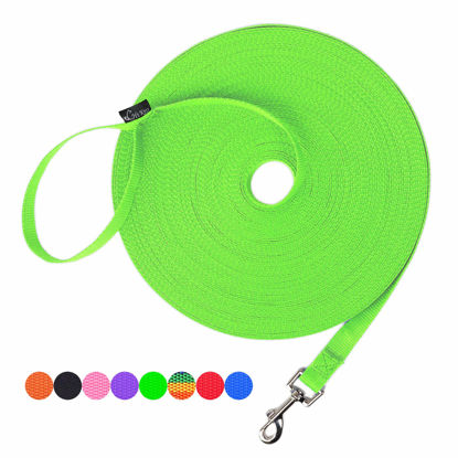 Picture of Hi Kiss Dog/Puppy Obedience Recall Training Agility Lead - 15ft 20ft 30ft 50ft 100ft Training Leash - Great for Training, Play, Camping, or Backyard (20 Feet, Green)