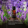 Picture of Gya Labs Lavandin Essential Oil - Fresh & Floral Scent (0.34 fl oz)