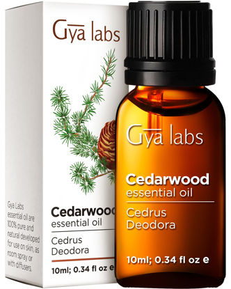 Picture of Gya Labs Cedarwood Essential Oil for Hair and Diffuser - Essential Oil Cedarwood Oil for Hair, Aromatherapy & Skin (0.34 fl oz)
