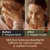 Picture of Gya Labs Cedarwood Essential Oil for Hair and Diffuser - Essential Oil Cedarwood Oil for Hair, Aromatherapy & Skin (0.34 fl oz)