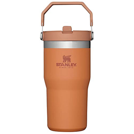 https://www.getuscart.com/images/thumbs/1122939_stanley-10-09994-090-the-iceflow-flip-straw-tumbler-ochre-20oz-59l_550.jpeg