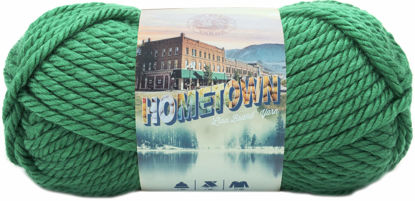 Picture of Lion Brand Yarn Hometown Yarn, Bulky Yarn, Yarn for Knitting and Crocheting, 1-Pack, Green Bay