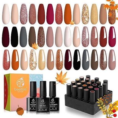 Picture of Beetles 20Pcs Gel Nail Polish Kit Fall Winter Colors Nude Pink Brown Burgundy Red Gel Polish Set with Base Top Coat Verse of Roses Kit Soak off Golden Glitter Nail Gel Valentine's Day Gifts for Women