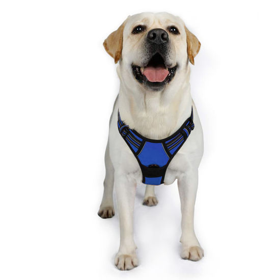 Picture of rabbitgoo Dog Harness, No-Pull Pet Harness with 2 Leash Clips, Adjustable Soft Padded Dog Vest, Reflective No-Choke Pet Oxford Vest with Easy Control Handle for Large Dogs, Navy, XL