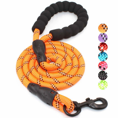 Picture of BAAPET 2/4/5/6 FT Dog Leash with Comfortable Padded Handle and Highly Reflective Threads for Small Medium and Large Dogs (5FT-1/2'', Orange)