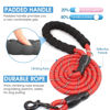 Picture of BAAPET 2/4/5/6 FT Dog Leash with Comfortable Padded Handle and Highly Reflective Threads for Small Medium and Large Dogs (6FT-1/2'', Red)