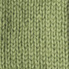 Picture of Caron Simply Soft Collection Yarn, 6oz, Gauge 4 Medium, 100% Acrylic- Pistachio - Machine Wash & Dry