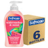 Picture of Softsoap Moisturizing Liquid Hand Soap Pump, Watermelon & Mint, 11.25 Ounce, 6 Pack