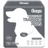 Picture of COCOYO Dog Training Pads 丨 Carbon Absorb Eliminating Urine Odor Doggie Training Pads 丨 Premium Charcoal Dog Pee Pads (100 Count, 22x22 inch),Gray