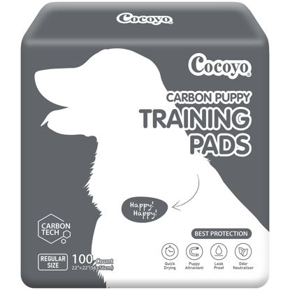 Picture of COCOYO Dog Training Pads 丨 Carbon Absorb Eliminating Urine Odor Doggie Training Pads 丨 Premium Charcoal Dog Pee Pads (100 Count, 22x22 inch),Gray