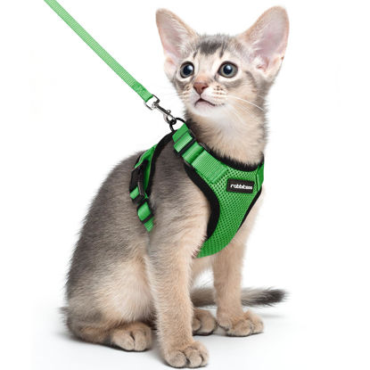 Picture of rabbitgoo Cat Harness and Leash for Walking, Escape Proof Soft Adjustable Vest Harnesses for Cats, Easy Control Breathable Reflective Strips Jacket, Grass Green,M