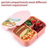 Picture of Bento Box,Bento Box Adult Lunch Box,Ideal Leak Proof Lunch Box Containers,Mom’s Choice Lunch box kids,No BPAs and No Chemical Dyes,Microwave and Dishwasher Safe Lunch Containers for Adults(Pink Lid L)