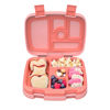 Picture of Bentgo® Kids Bento-Style 5-Compartment Lunch Box - Ideal Portion Sizes for Ages 3 to 7 - Leak-Proof, Drop-Proof, Dishwasher Safe, BPA-Free, & Made with Food-Safe Materials (Coral)