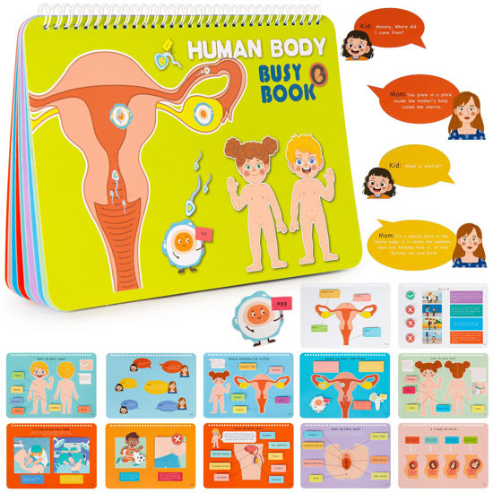 Educational books hot sale and toys