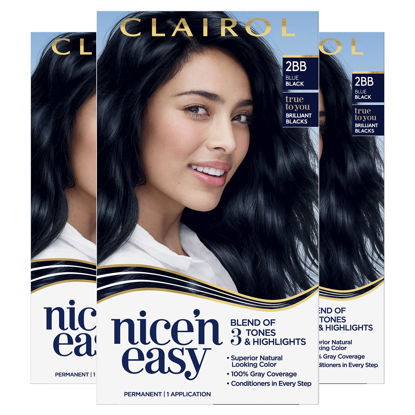 Picture of Clairol Nice'N Easy Hair Color Crème, 2BB Blue Black, Pack of 3 (Packaging May Vary)